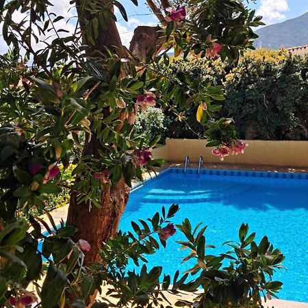 Hotel La Playa กาลาโกโนเน ภายนอก รูปภาพ